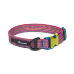 Del Día Dog Collar