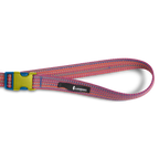 Del Día Dog Leash