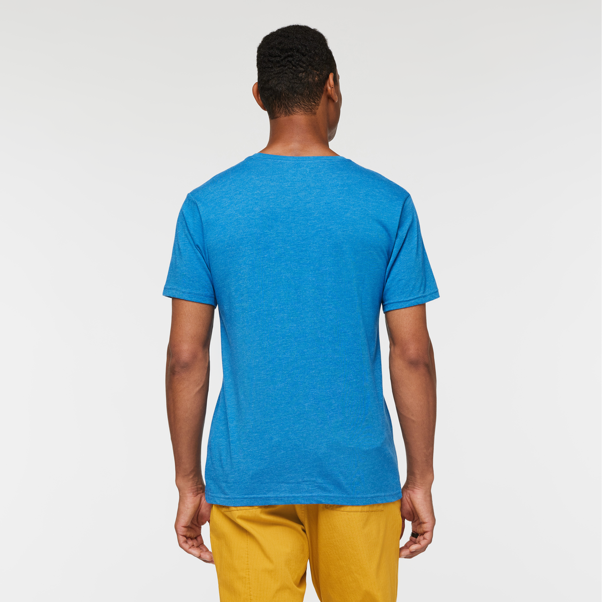Llama Stripes T-Shirt - Men's