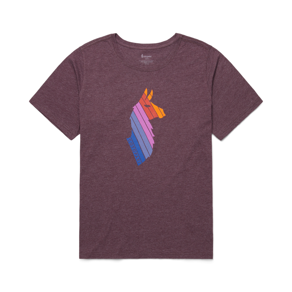 Llama Stripes T-Shirt - Women's