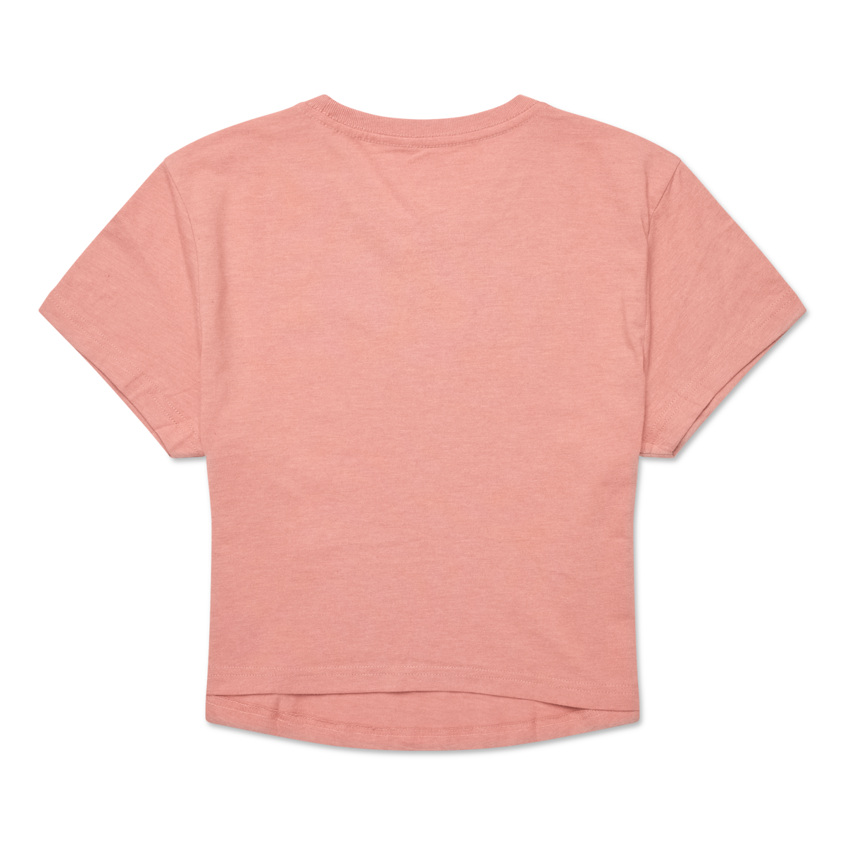 Tiny Llama Crop T-Shirt - Women's